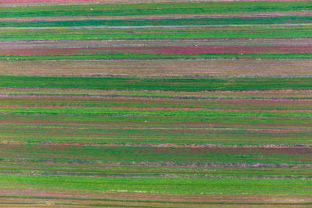 Plowed fields in spring with a condensed perspectiveの写真素材