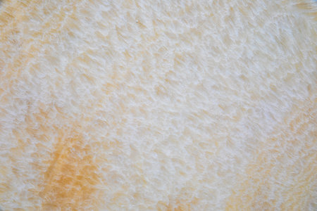Texture of marble slab with colored veins