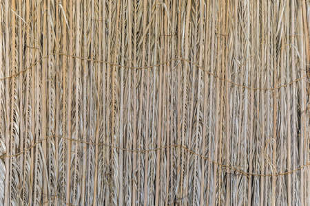 Thin reed fence textureの写真素材