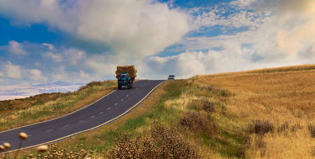 Tractor carrying harvested wheat along an asphalt roadの写真素材