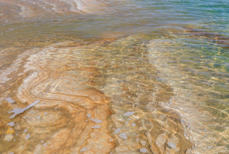 Mud and layers of salt on the coast of the Dead Sea in Israelの写真素材