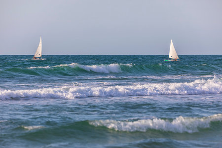 Small sailboats sailing in the Mediterraneanの写真素材