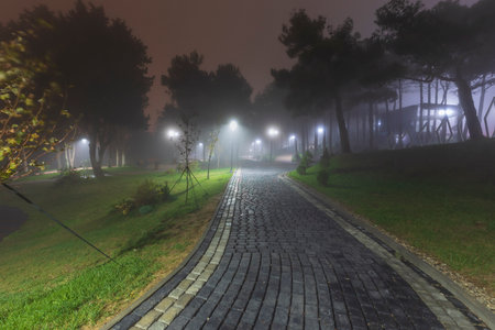City park at night in fogの写真素材