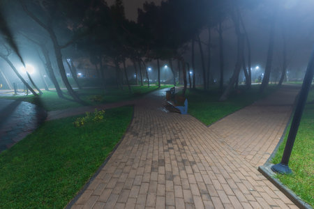 City park at night in fogの写真素材