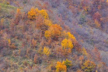 Autumn colors in the mountains