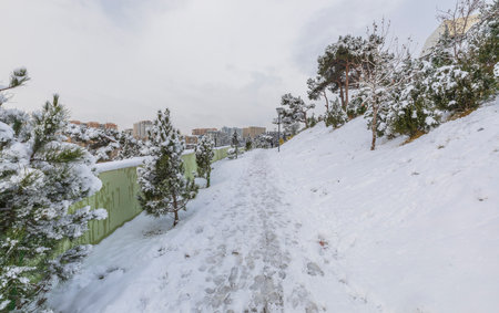 BAKU, AZERBAIJAN - JANUARY 31 2024: A park covered with snow in Baku in Januaryの写真素材