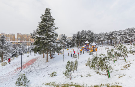 BAKU, AZERBAIJAN - JANUARY 31 2024: A park covered with snow in Baku in Januaryの写真素材
