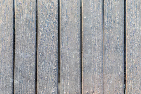 Texture of planks on the beachの写真素材