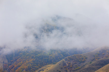 Autumn forest in the mountainsの写真素材