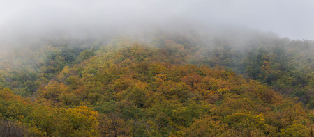 Autumn forest in the mountainsの写真素材