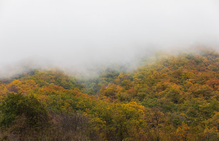 Autumn forest in the mountainsの写真素材