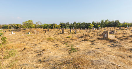 Jewish Cemetery, Samarkand, Uzbekistanの写真素材