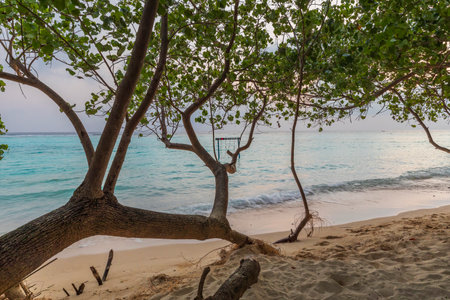 Indian Ocean coast in the Maldivesの写真素材