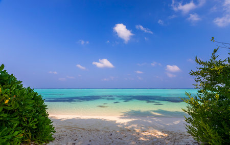 Indian Ocean coast in the Maldivesの写真素材