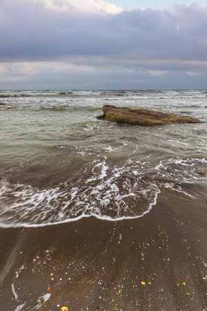 The Caspian Sea coast in springの写真素材