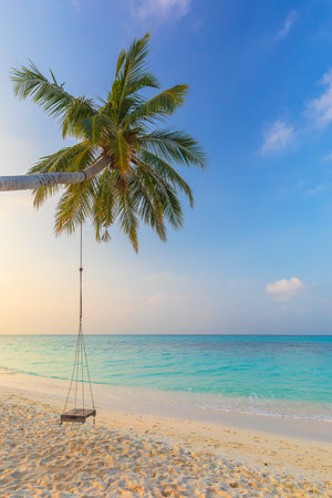 Swing on a palm tree on the ocean shoreの写真素材