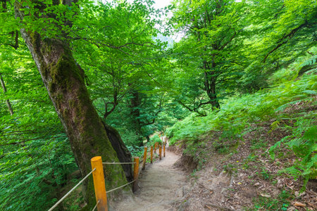 Mountain path to the Shirhal waterfallの写真素材