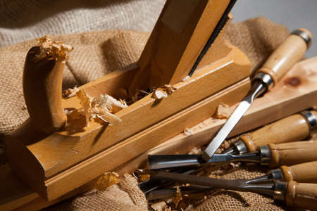 carpenter gougesの写真素材