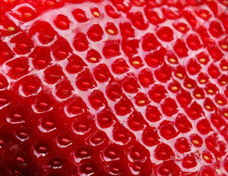 Closeup texture of a ripe strawberryの写真素材