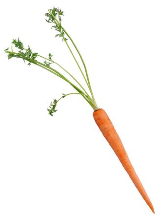Closeup of a carrot isolated on white backgroundの写真素材