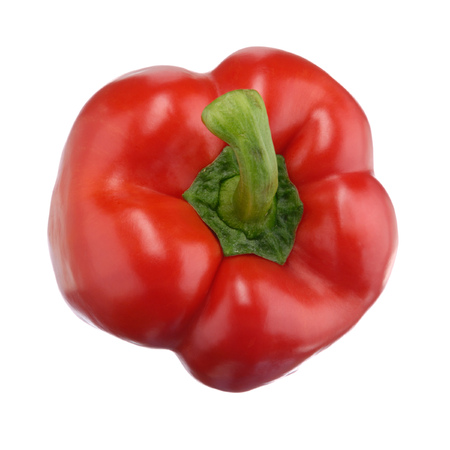 Closeup of a red sweet pepper isolated on white backgroundの写真素材