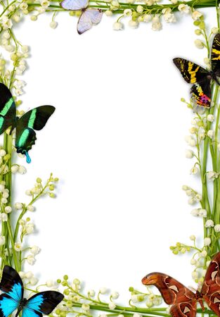 Lilies of the valley frames with colorful butterflies on white backgroundの写真素材