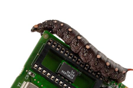 Big black caterpillar climbing by the edge of a circuit board. Conceptual photo isolated macro on white background.の写真素材