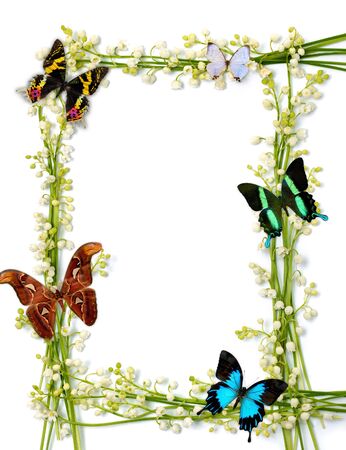 Lilies of the valley frames with colorful butterflies on white backgroundの写真素材