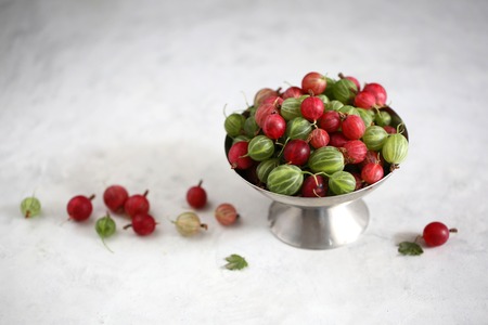 gooseberry on a white backgroundの写真素材