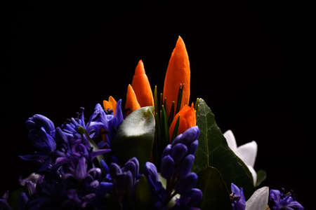 Flowersの写真素材