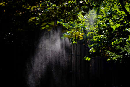 Summer touchの写真素材