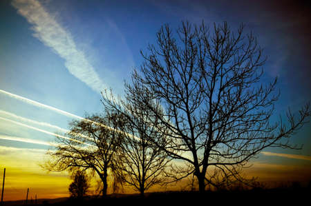 Autumn sunsetの写真素材