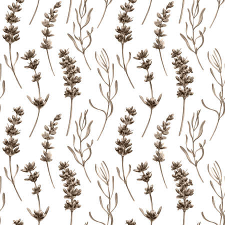 Watercolor seamless pattern in retro style with lavender flowers and leaves. Decorative monochrome floral background for a wedding or branding design in sepia colorsの写真素材
