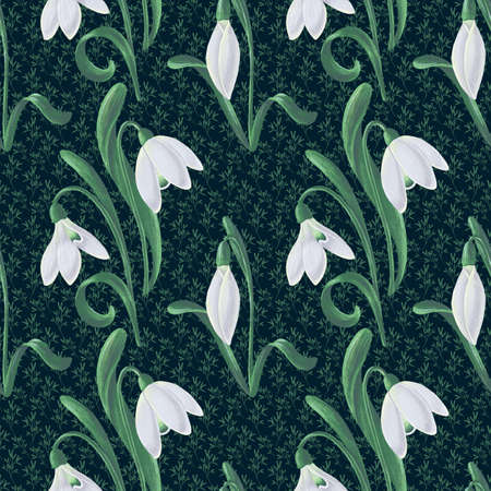 Seamless hand-drawn pattern with snowdrops in white and green on a dark green background.の写真素材