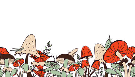 Hand-drawn vector seamless border with mushrooms in orange, beige, brown and green on a white backgroundのイラスト素材