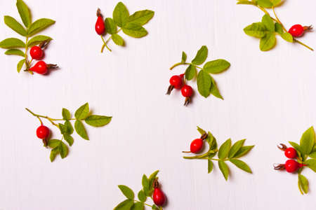 pattern, composition of red flowers, berries and green leaves on a white background.Flat lay, top...