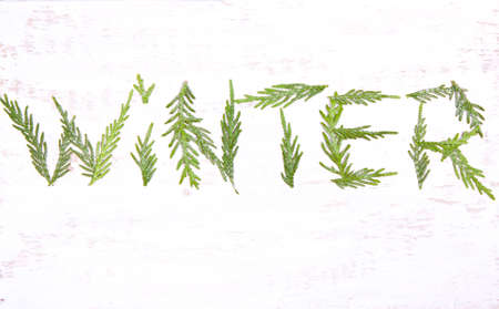 The word "winter" of evergreen
 branches on a white background. Top view, flat viewの写真素材