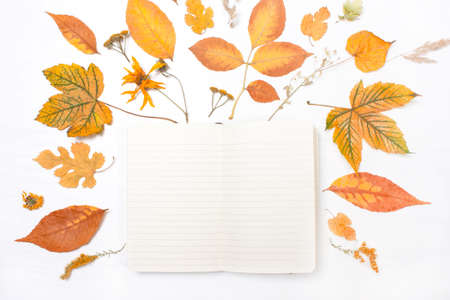 Notepad in the frame of yellow leaves and flowers. Autumn composition. Top view, flatの写真素材