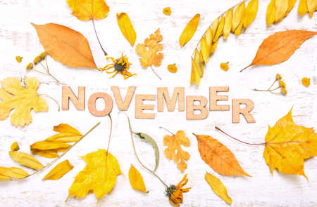 The word "november" with yellow leaves on a white wooden background. Autumn compositionの写真素材