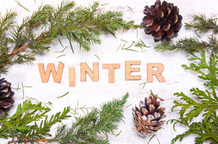 Word winter against the background of tree branches, cones on a white background woodenの写真素材