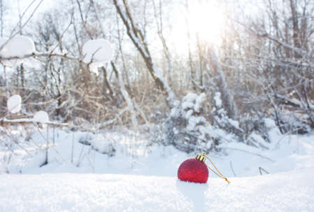 Christmas red toy in the snow against the background of the winter forest. Concept of winter, holiday, New Yearの写真素材