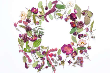 Pattern, Composition of dried flowers, pink, red roses and green leaves  on a white background. View from above, flat layの写真素材