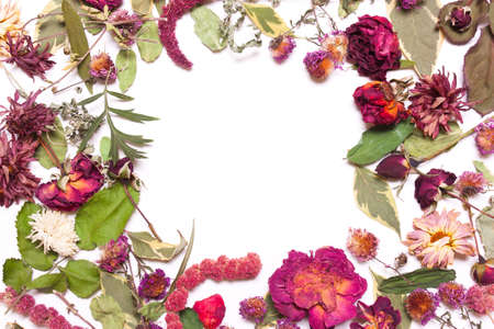 Frame of dried flowers, pink, red roses and green leaves on a white background. View  above, flat layの写真素材