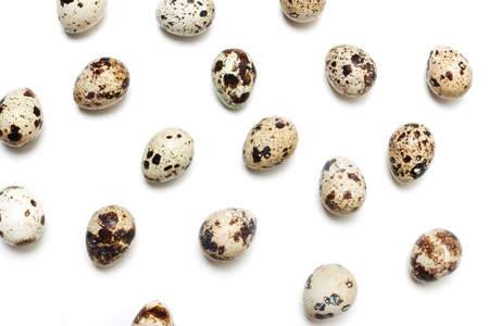 Background of quail eggs in a row on a white backdrop. Top view, flatの写真素材