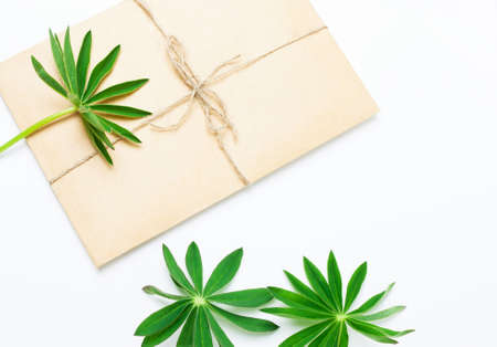 Kraft paper envelope with green leaves