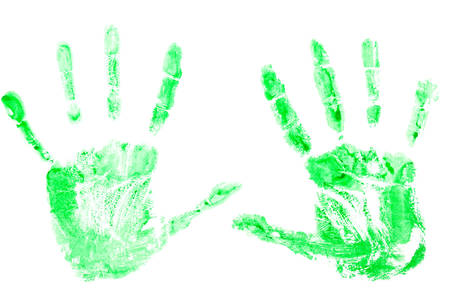Prints of green paint from hands, palms on a white background.Concept of ecology, nature protectionの写真素材