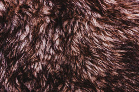Brown dark warm faux fur texture. Animal wildlife conceptの写真素材