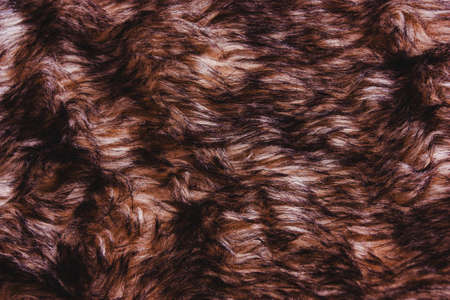 Brown dark warm faux fur texture. Animal wildlife conceptの写真素材