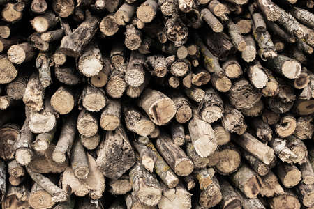 Wooden rustic background. Firewood in a row