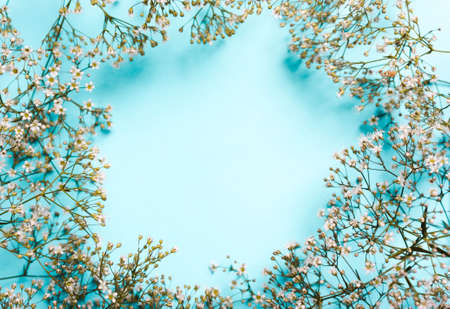 Wedding, summer pastel background. Composition of white flowers on a blue background. flat lay.Copy spaceの写真素材